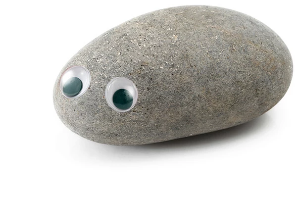 Image result for pet rock