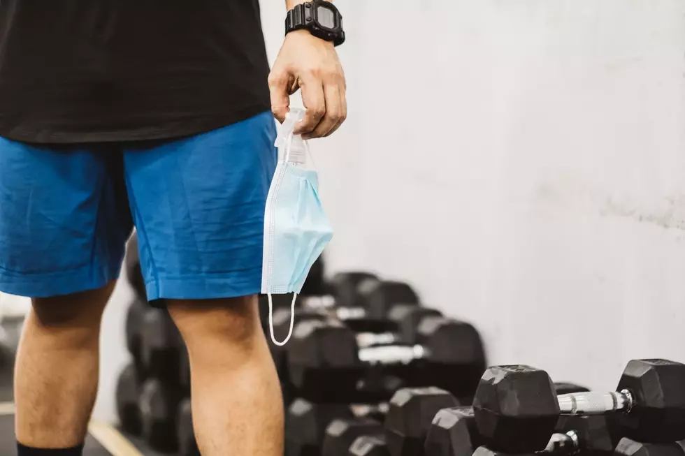 Did Illinois & Wisconsin Miss Going to Bars or Gyms More in 2020?
