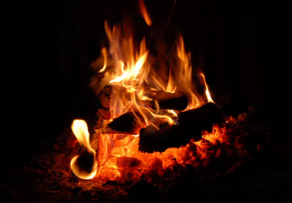 Starved Rock State Park Giving Away Firewood For Small Donation