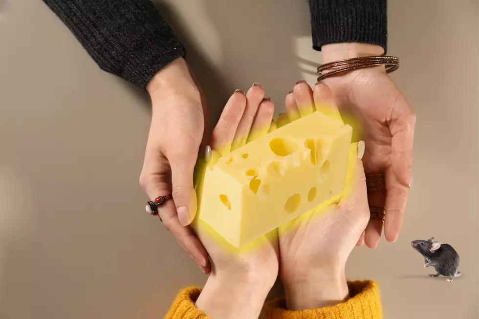 Illinois Woman’s Brie-lliant Fortune-Telling Will Amaze You