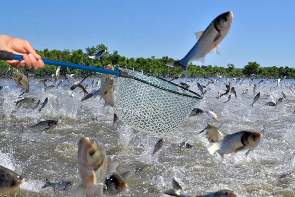 Unique Fishing Tournament In Illinois Has One Important Rule; No Poles Allowed!