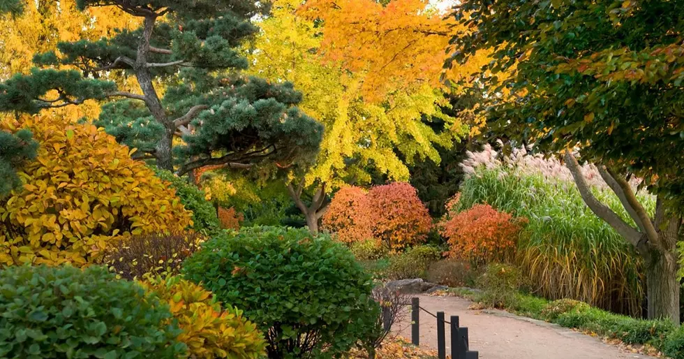 Chicago Botanic Garden via Facebook