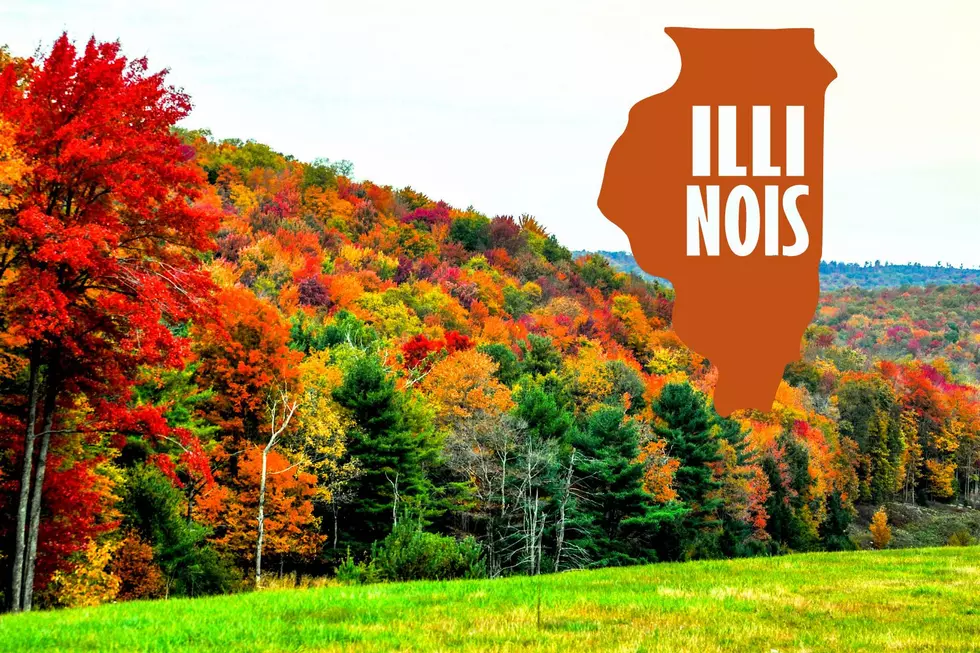 Leaf Peeping in Illinois: 4 Spots to See the Season’s Best Colors