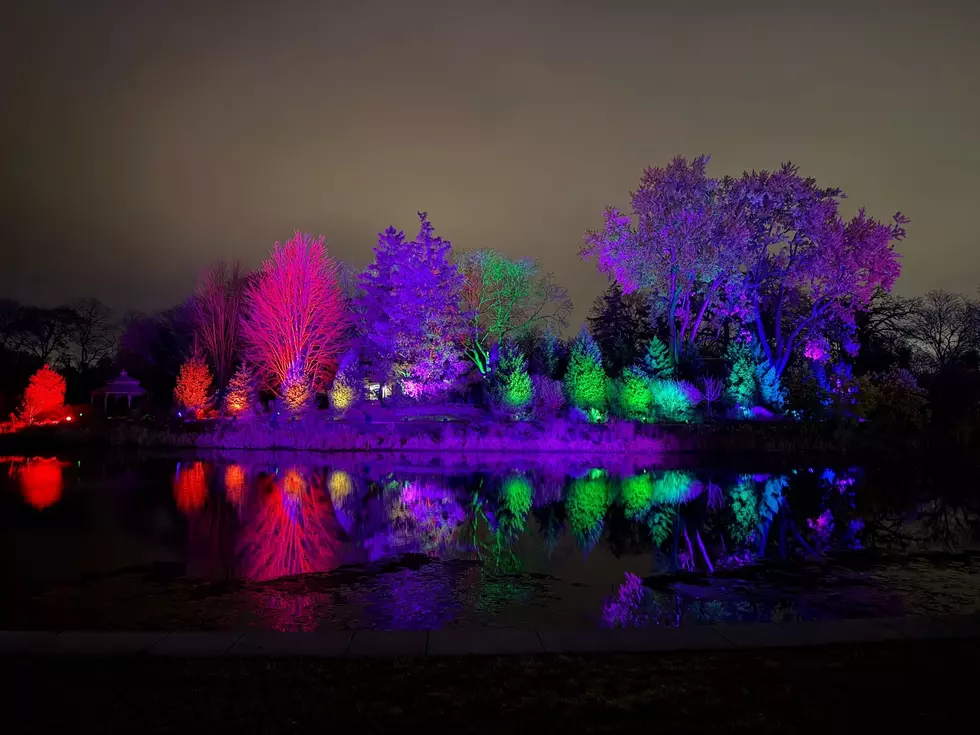 Last Chance To See ‘A Wickedly Popular Christmas’ Light Display in Illinois