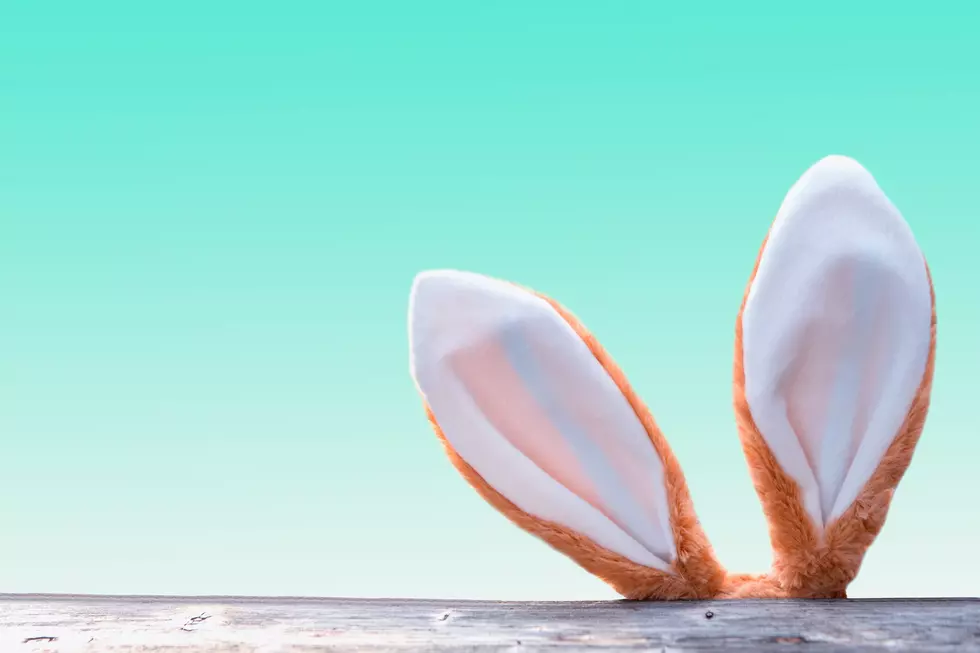Spring Fun Alert: The Easter Bunny Arrives at CherryVale Mall Next Week!