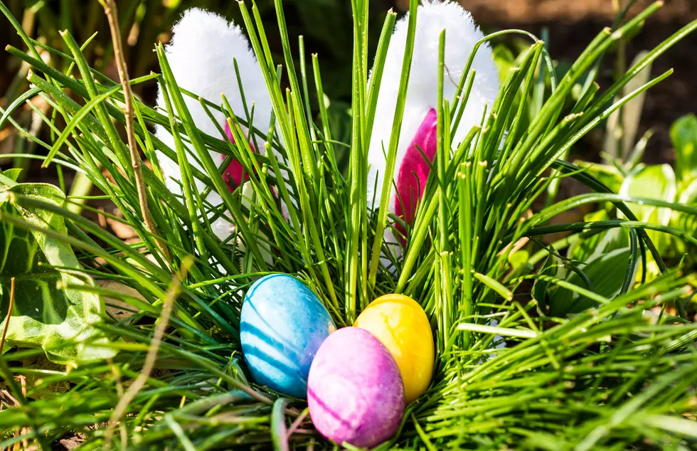 5 Free Easter Egg Hunts Near Rockford Your Kids Will Love